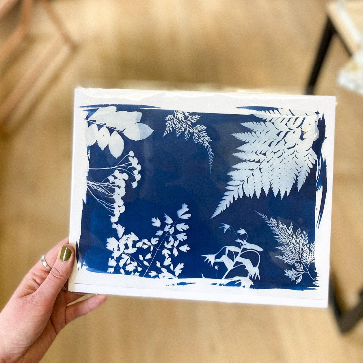 Foliage Cyanotype Print by AK Sunprints