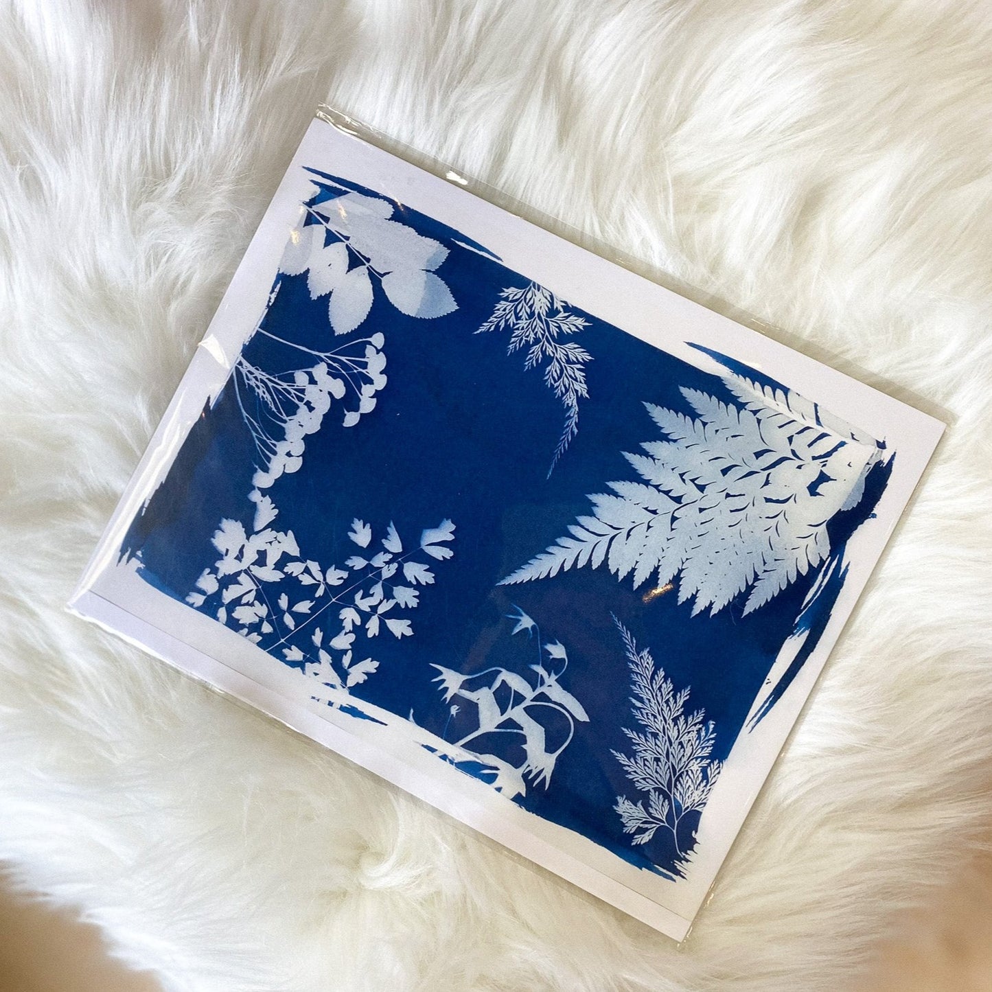 Foliage Cyanotype Print by AK Sunprints