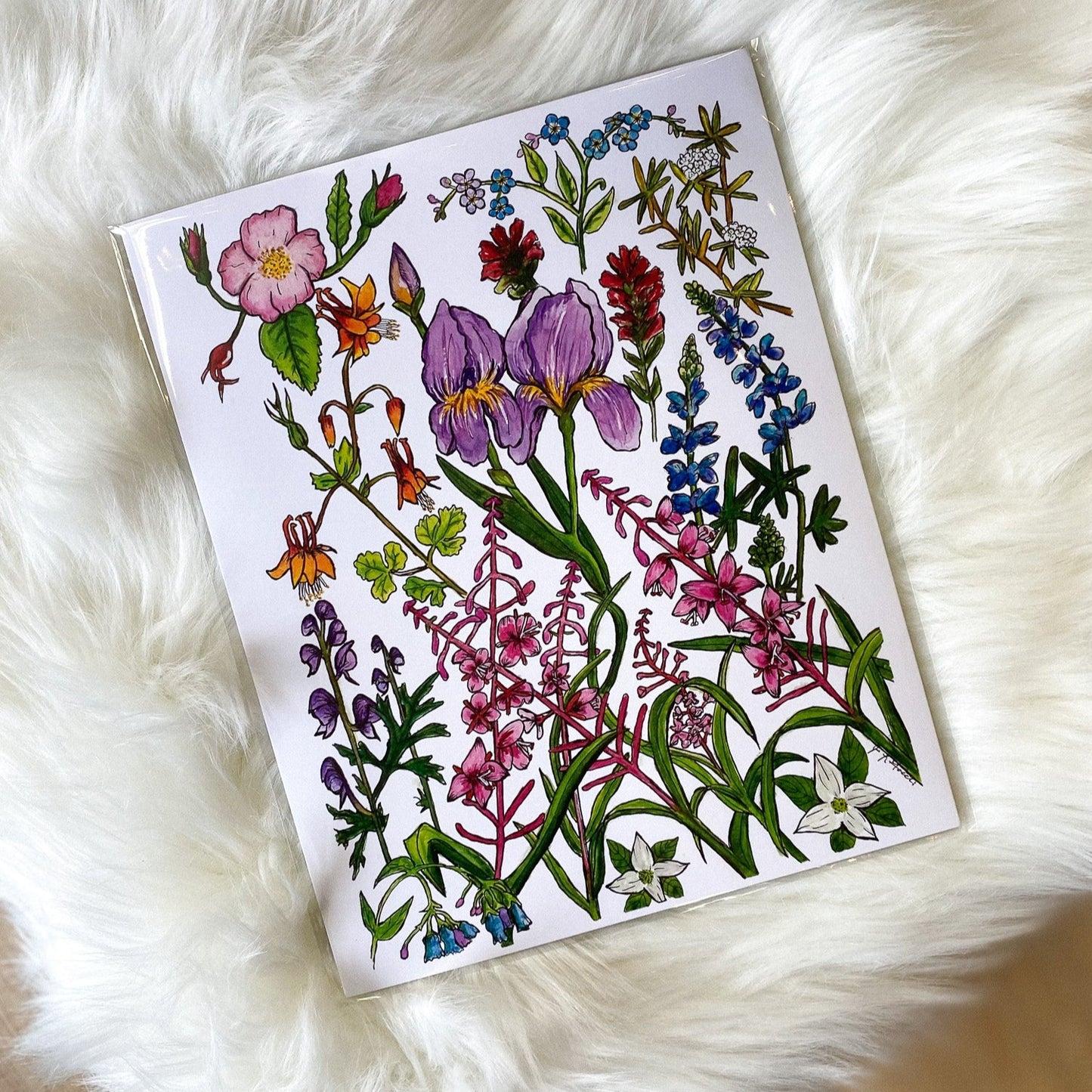 Alaskan Wildflowers Watercolor Print by AK Sunprints