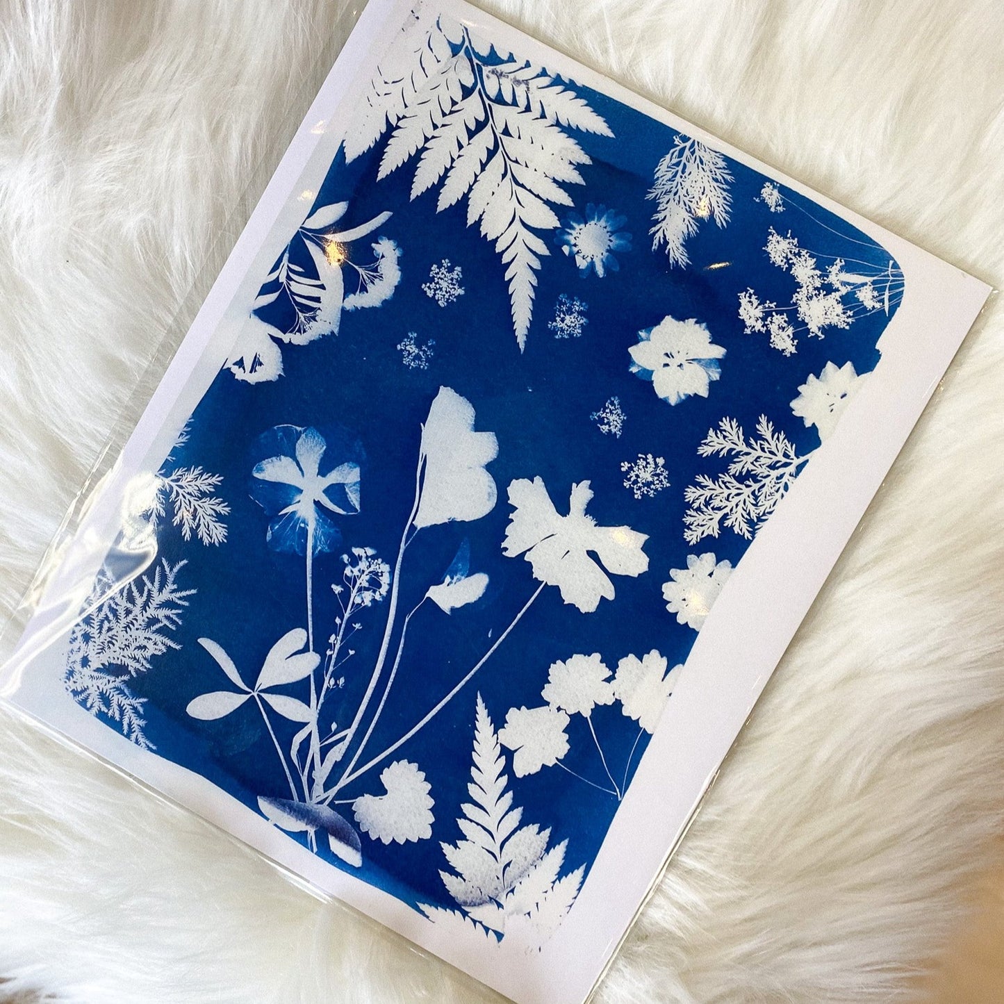 Blue & White Floral Cyanotype Print by AK Sunprints