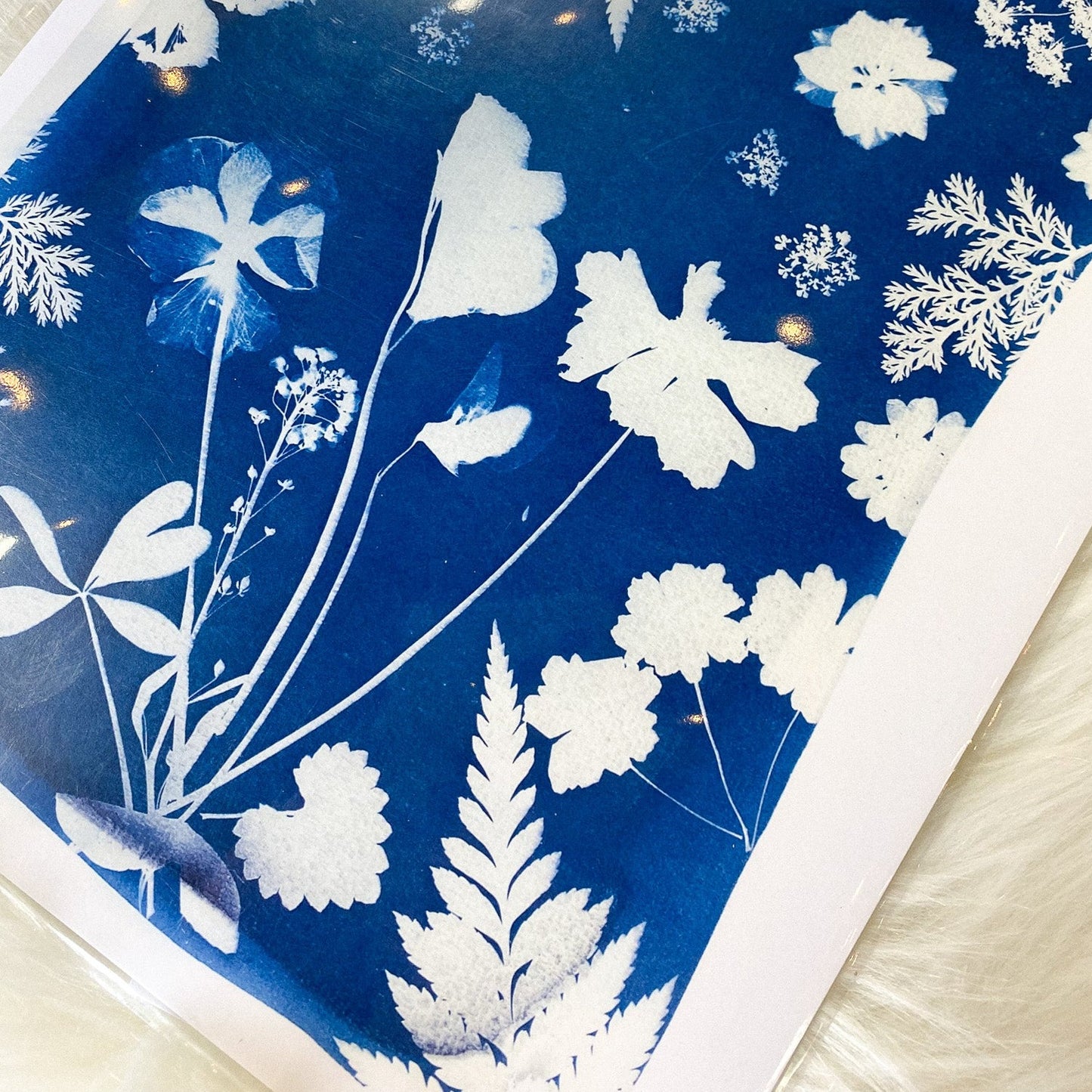 Blue & White Floral Cyanotype Print by AK Sunprints