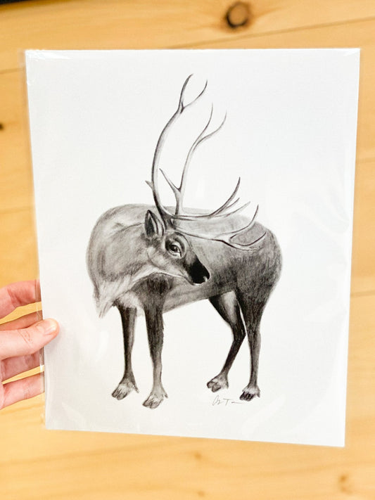 Reindeer Sketch 11x14 Print by Anya Toelle