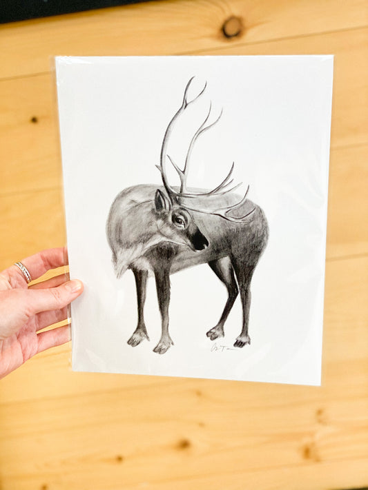 Reindeer Sketch 8x10 Print by Anya Toelle