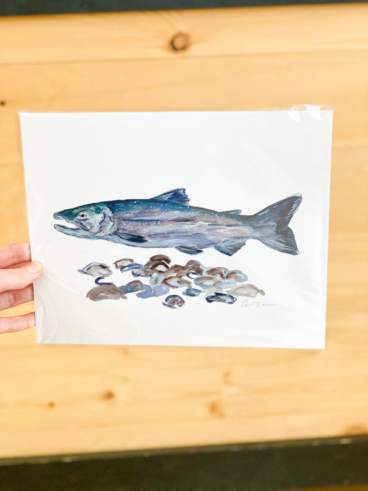 Salmon 11x14 Print by Anya Toelle
