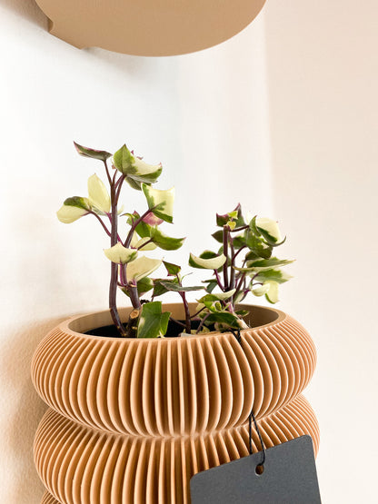 Cape Ivy #340 by Passionate Gem