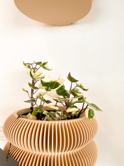 Cape Ivy #340 by Passionate Gem