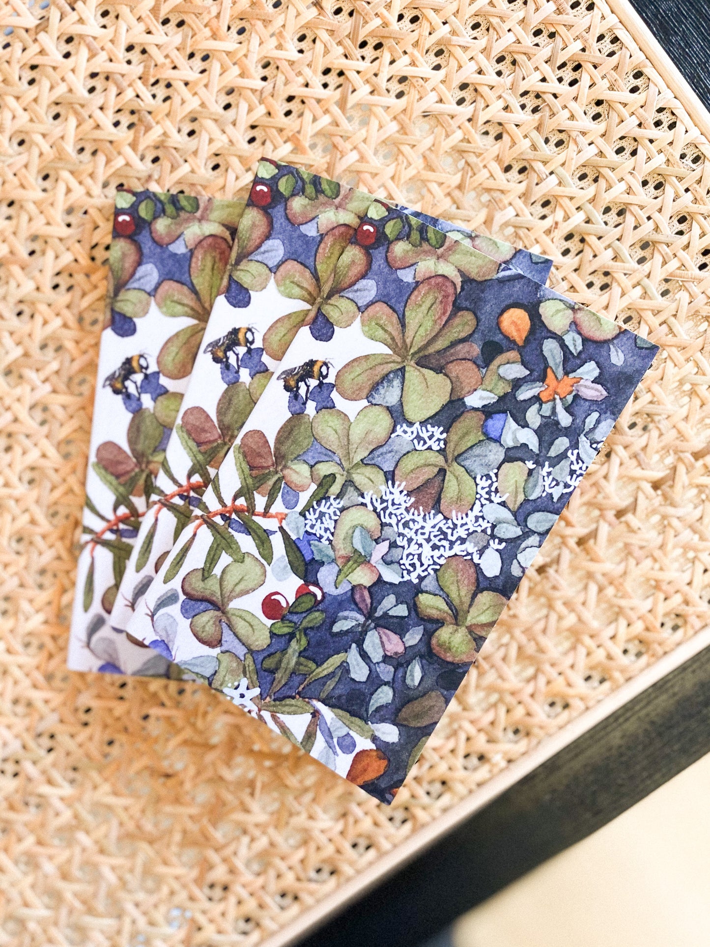 Tundra Mini Journal by Jill Richie