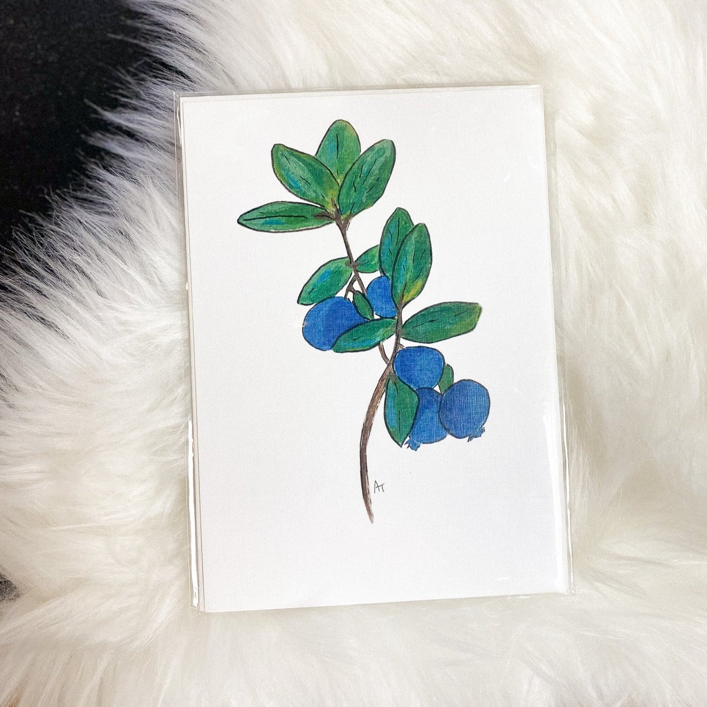 Blueberry 5x7 print by Anya Toelle