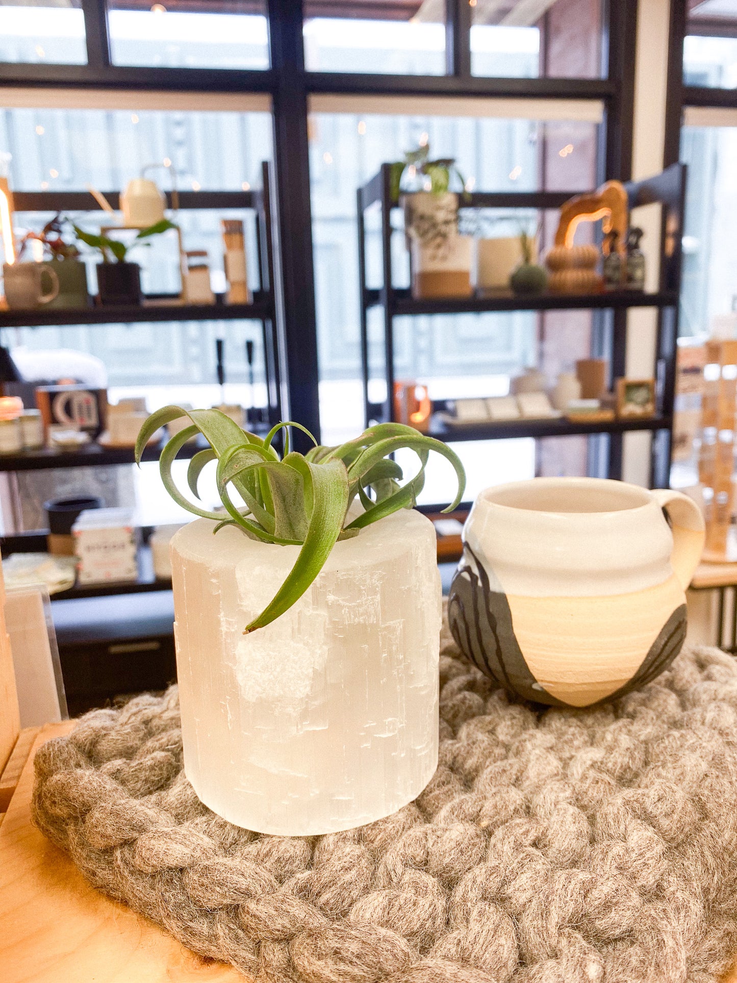 Air Plant in Selenite Holder #365