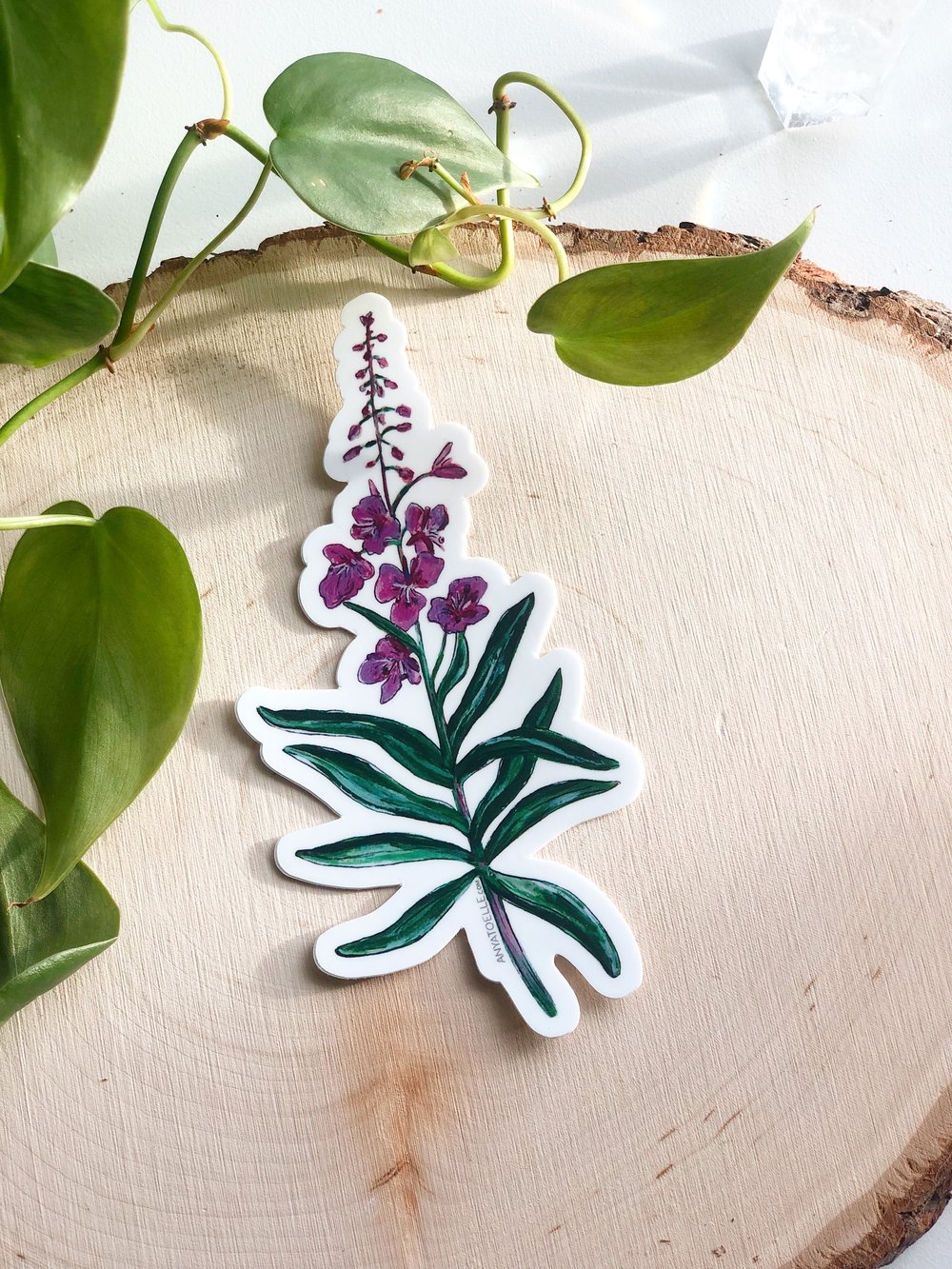 Fireweed Sticker by Anya Toelle