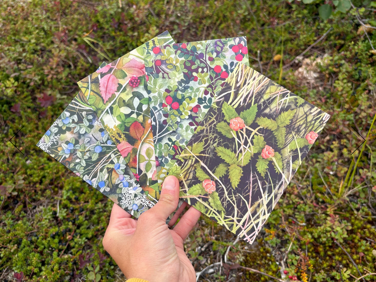 Gather Cards - 4 Pack by Jill Richie