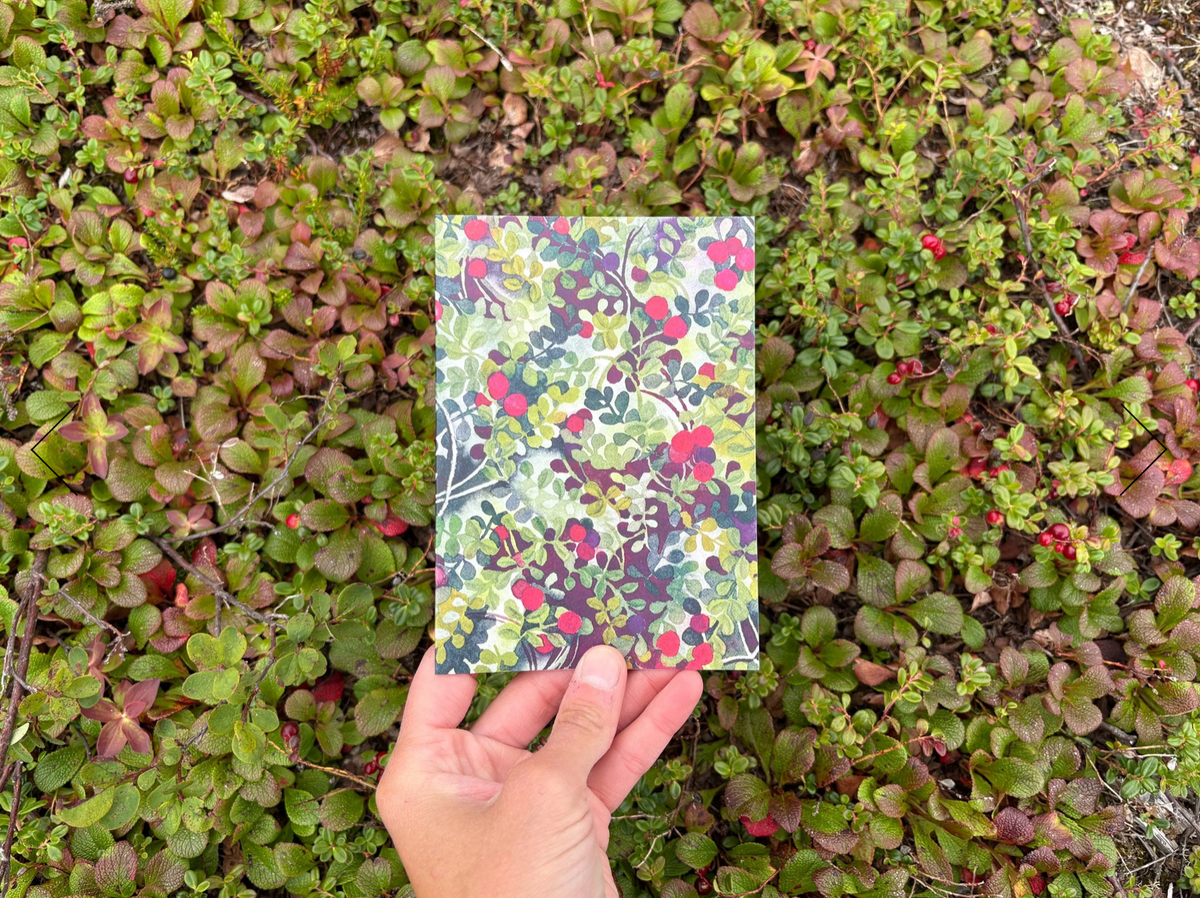 Gather Cards - 4 Pack by Jill Richie