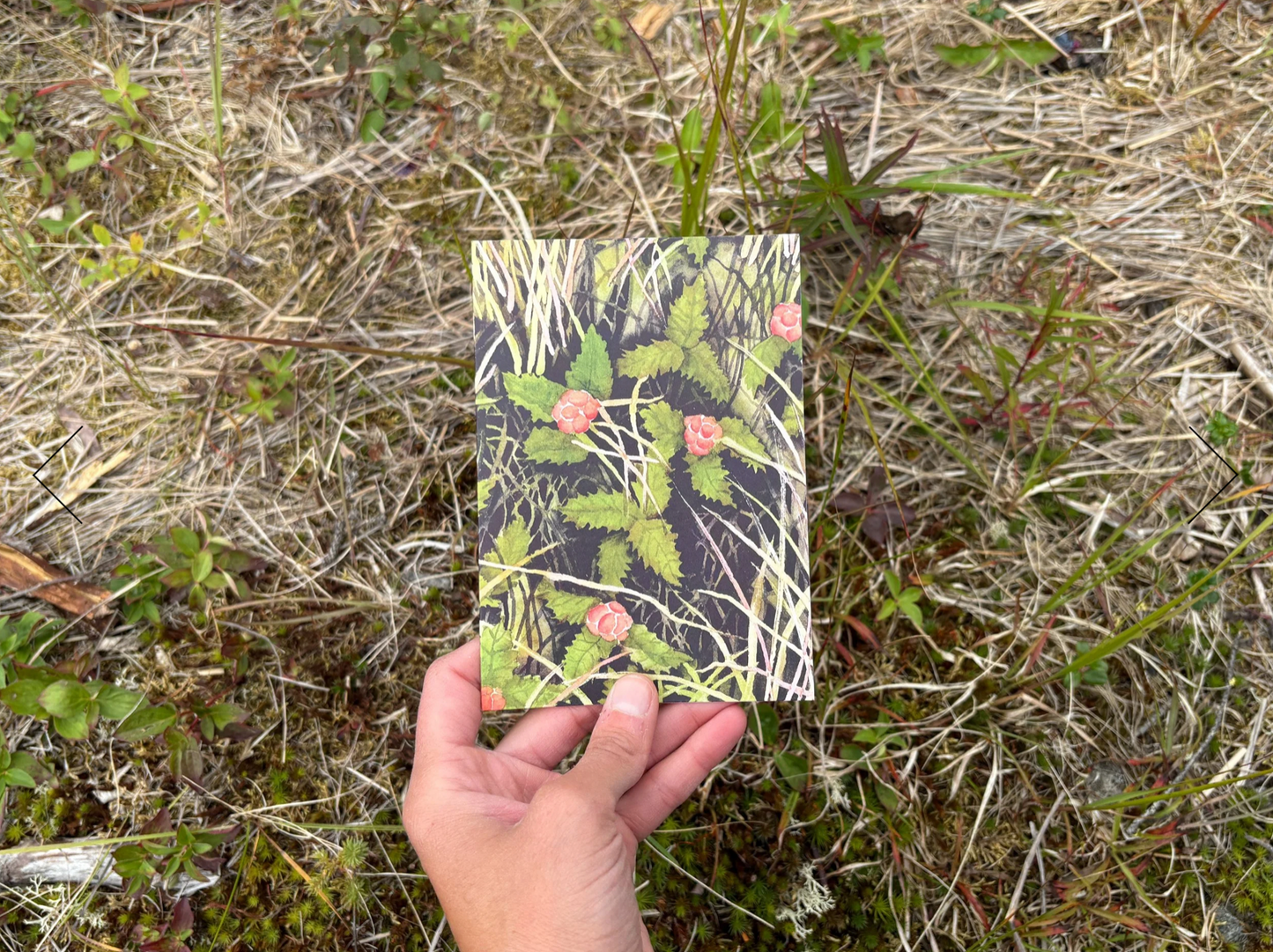 Gather Cards - 4 Pack by Jill Richie