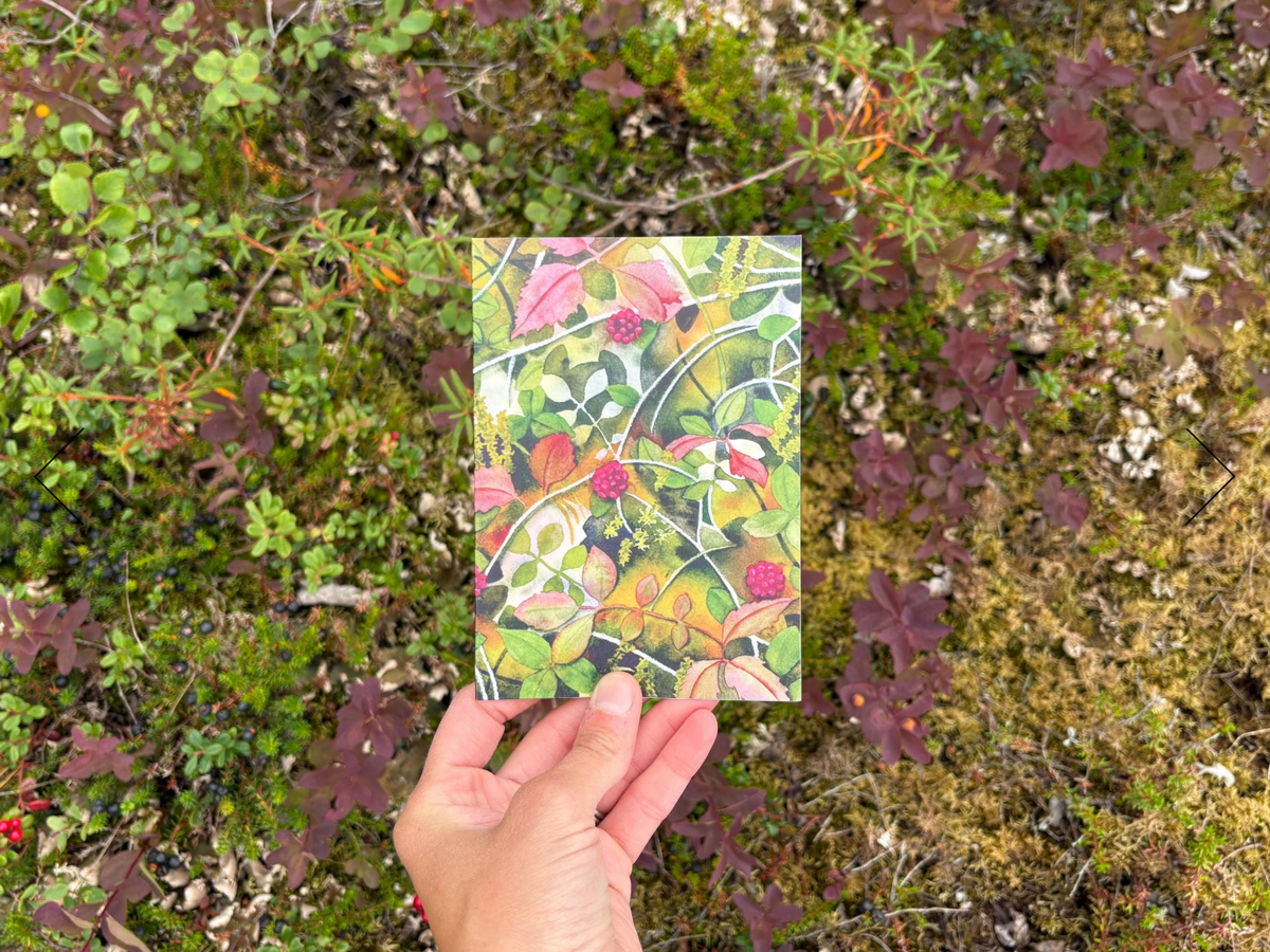 Gather Cards - 4 Pack by Jill Richie