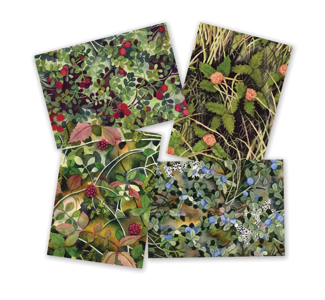 Gather Cards - 4 Pack by Jill Richie