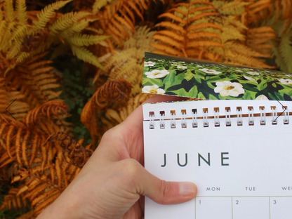 2026 Calendar by Jill Richie