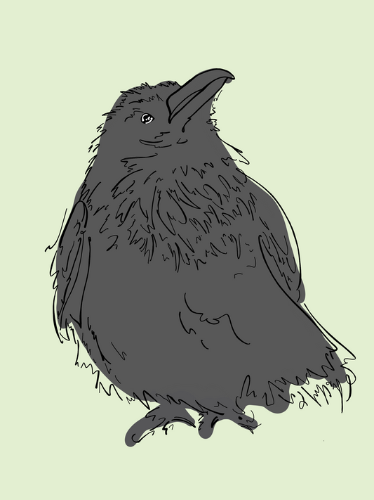 Little Raven Owl Card by Printworthy