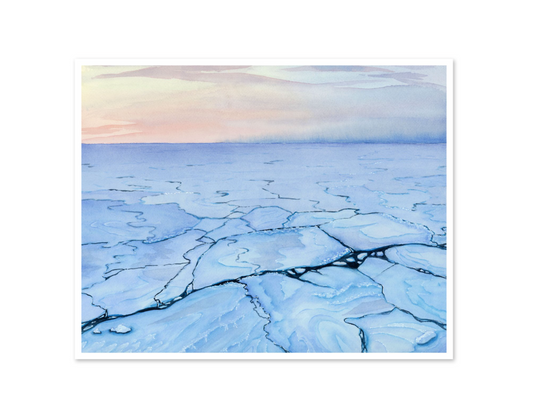Arctic 11x14 Print by Jill Richie