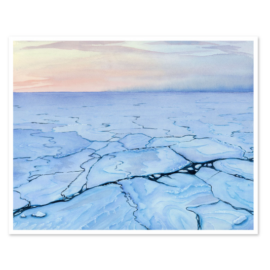 Arctic 8x10 Print by Jill Richie
