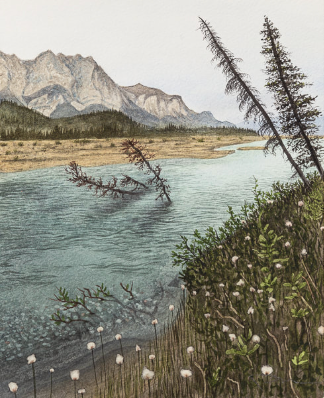 Bettles River 8x10 Print by Robin Farmer