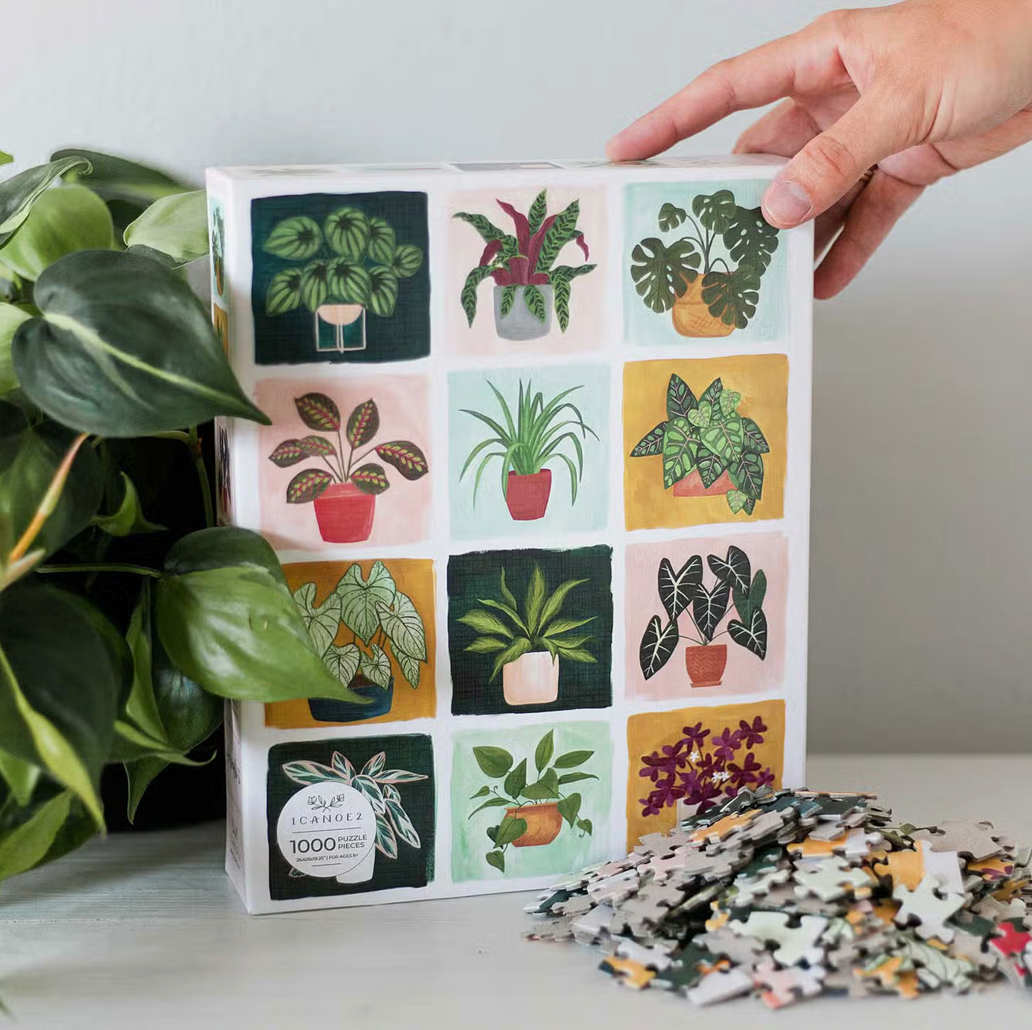 Houseplants Jigsaw  Puzzle | 1,000 Pieces