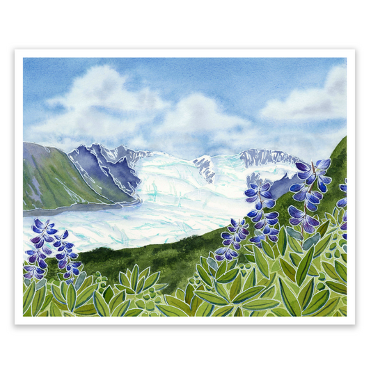 Lap of Lupine 8x10 Print by Jill Richie