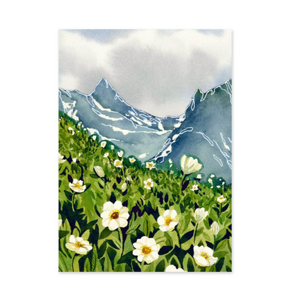 Mountain Avens 5x7" Arc Framed Print by Jill Richie