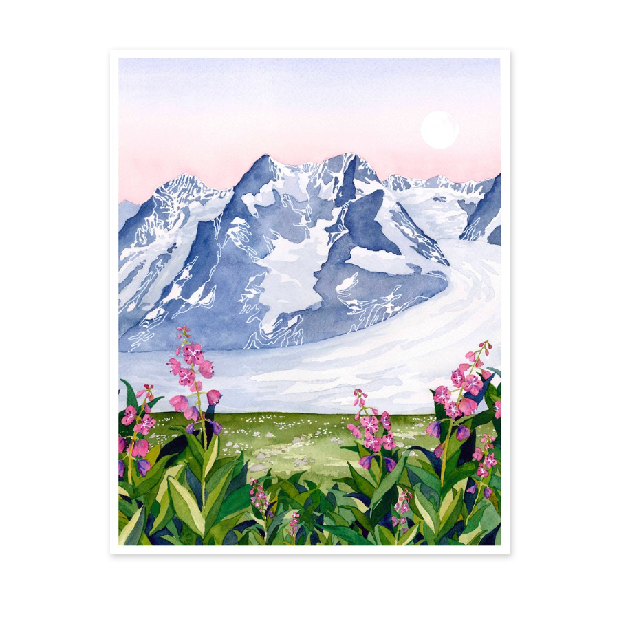 Land of Ice + Fireweed 16x20 Print by Jill Richie