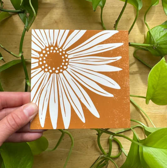 Siberian Aster Card by Adrift Prints