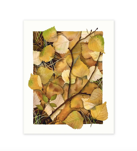 Forest Floor 8x10 Print by Jill Richie