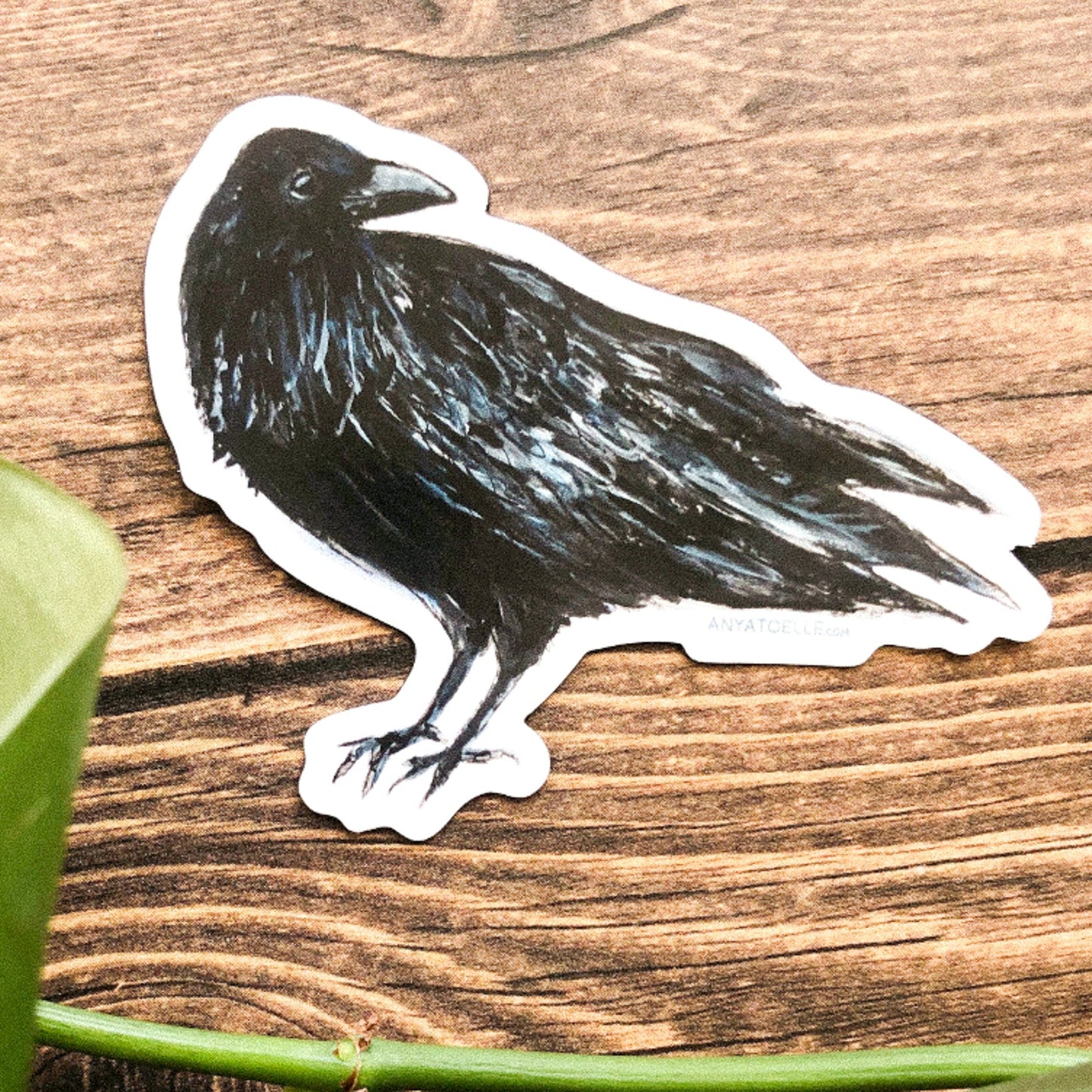 Magnet of a black raven on a wooden surface.