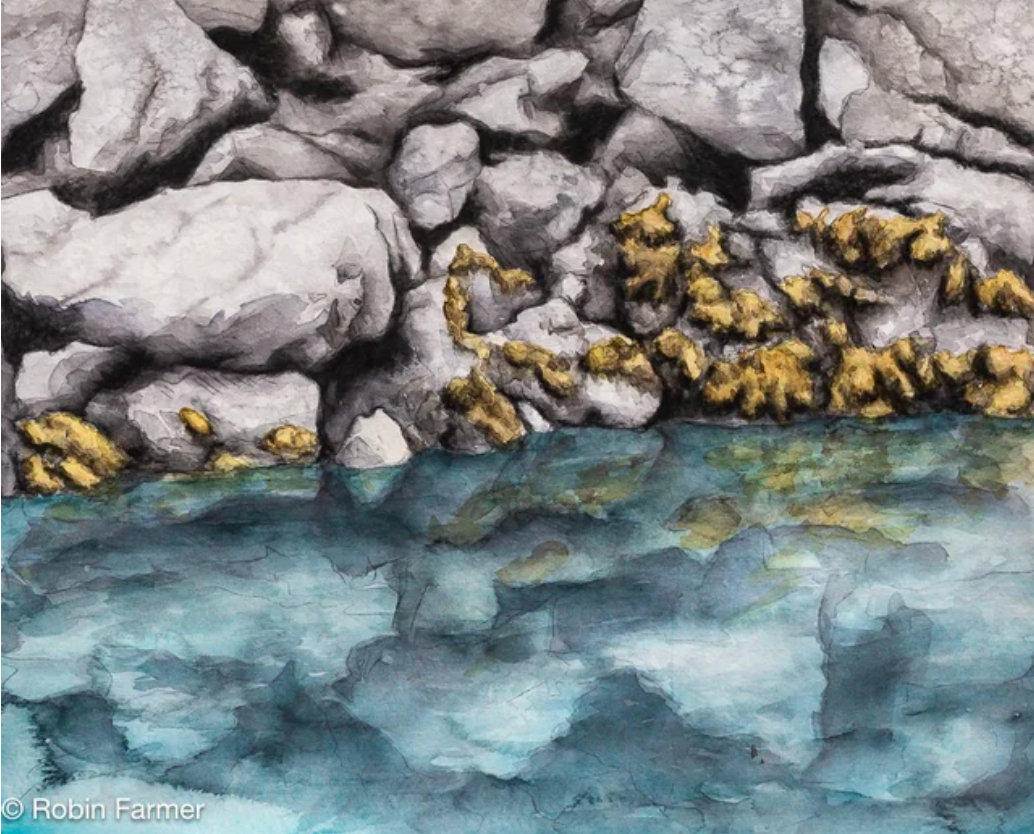 Halibut Cove 5x7 Print by Robin Farmer