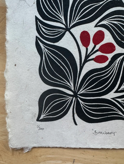 Bunchberry 8x10 Original Print by Adrift Prints