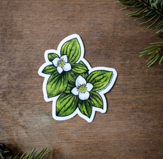 Dogwood Sticker by Robin Farmer