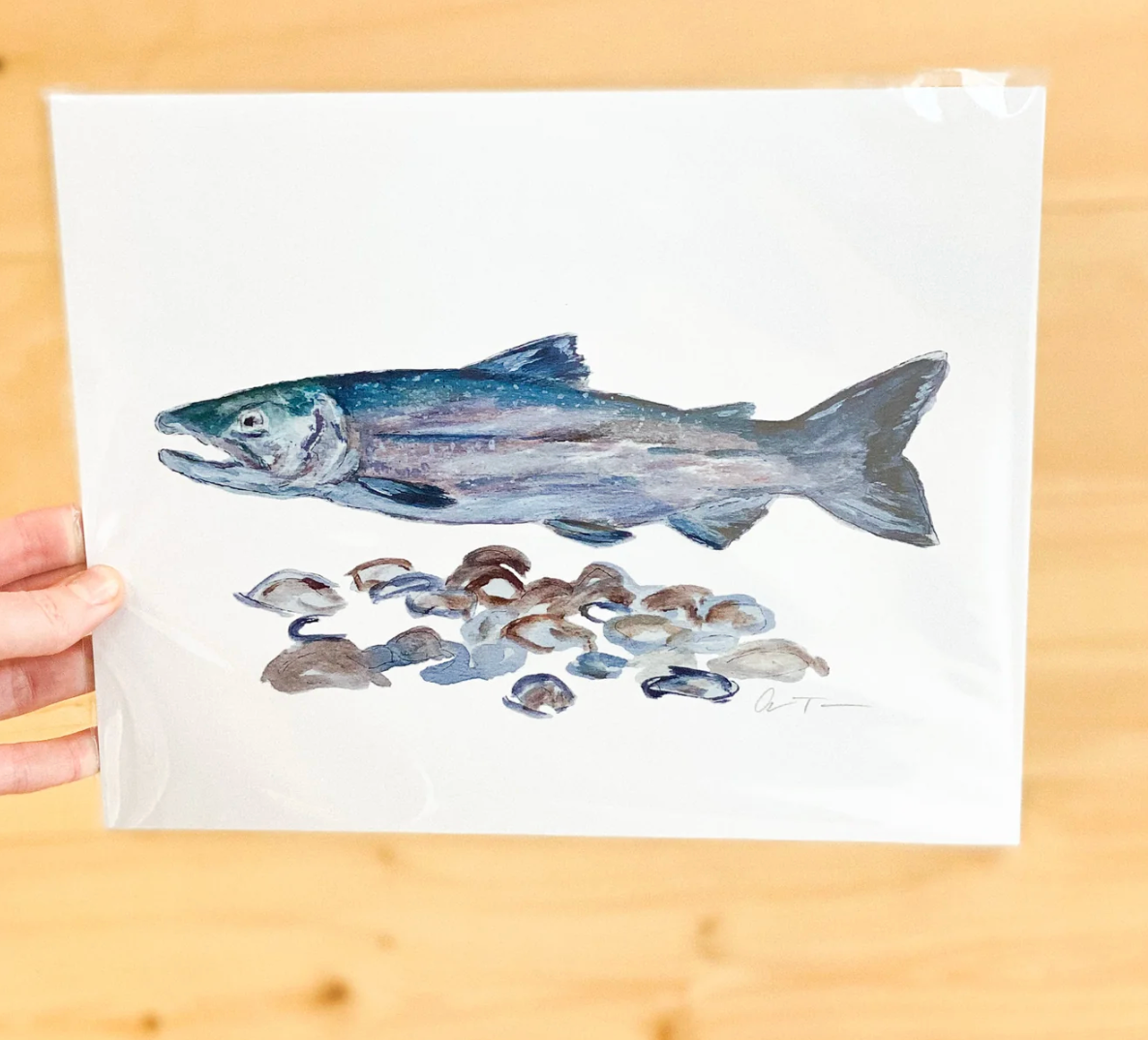 Salmon 8x10 Print by Anya Toelle