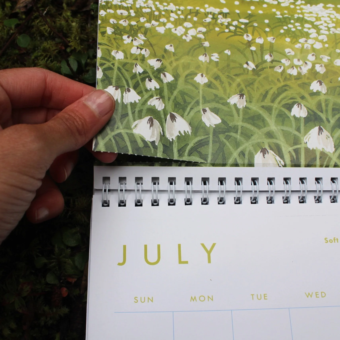 2027 Calendar by Jill Richie