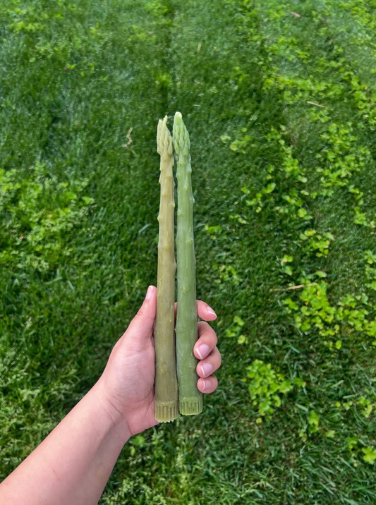 Asparagus Taper Candles by Happy Organics