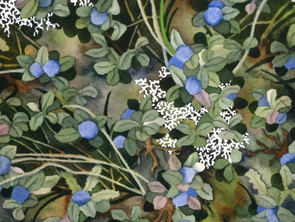 Abundance 8x10 Print by Jill Richie