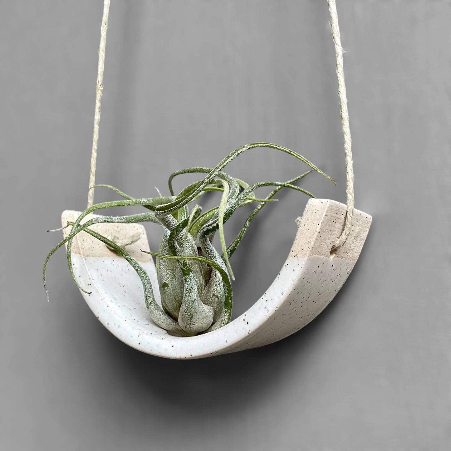 Hanging Air Plant Cradle | White Speckled Gloss by Mudpuppy