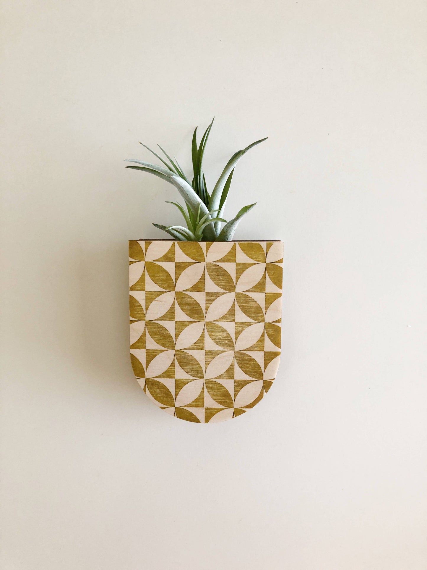 Petals Pocket Wall Planter Vase by Stacy Wong