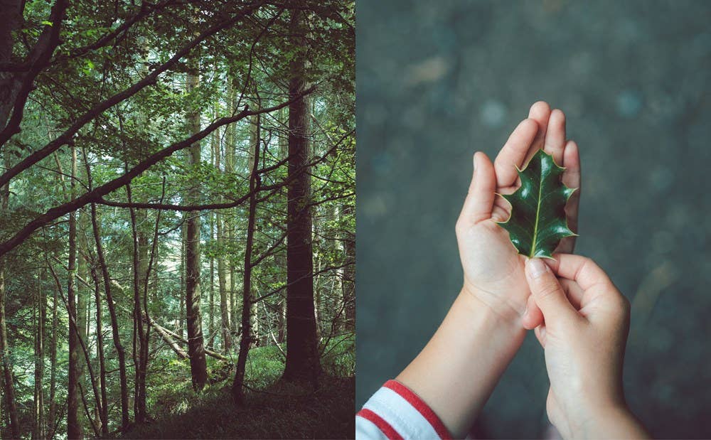 Fforest: Being, Doing & Making in Nature