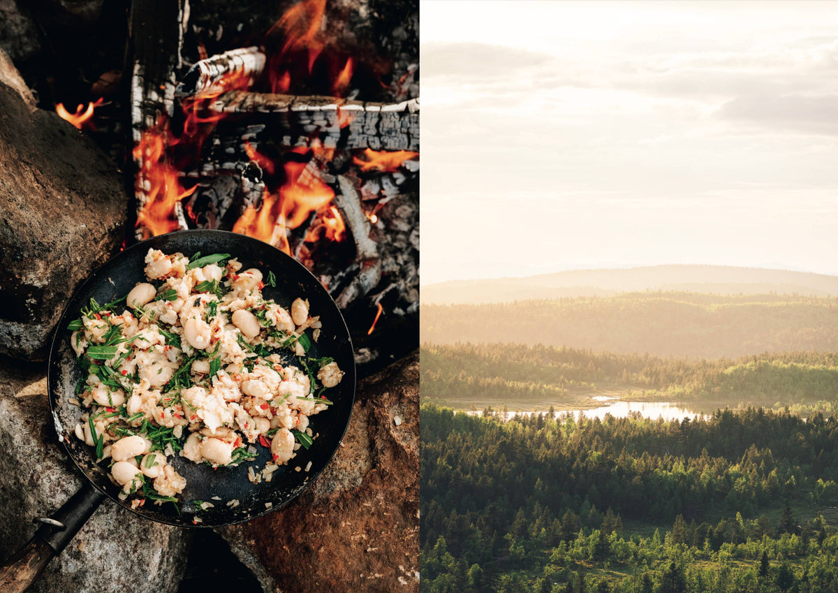 Food in the Wild: Recipes for Foraged Berries, Mushrooms & Herbs