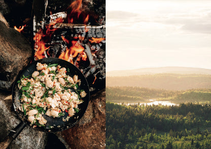 Food in the Wild: Recipes for Foraged Berries, Mushrooms & Herbs