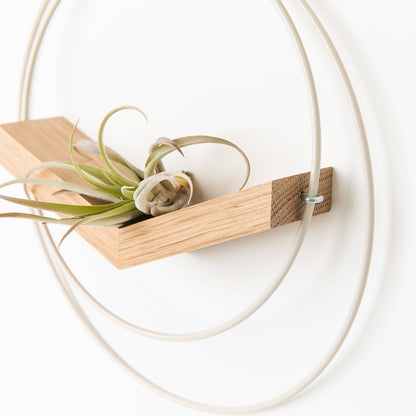 White V-Hanger Hanging Planter by Braid & Wood