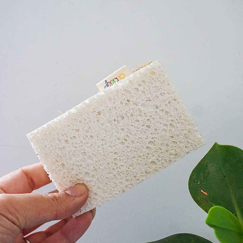 Kitchen Scouring Sponge | 2-pack by &Keep