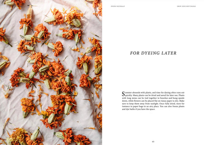 Crafts & Knitting: Dyeing Naturally