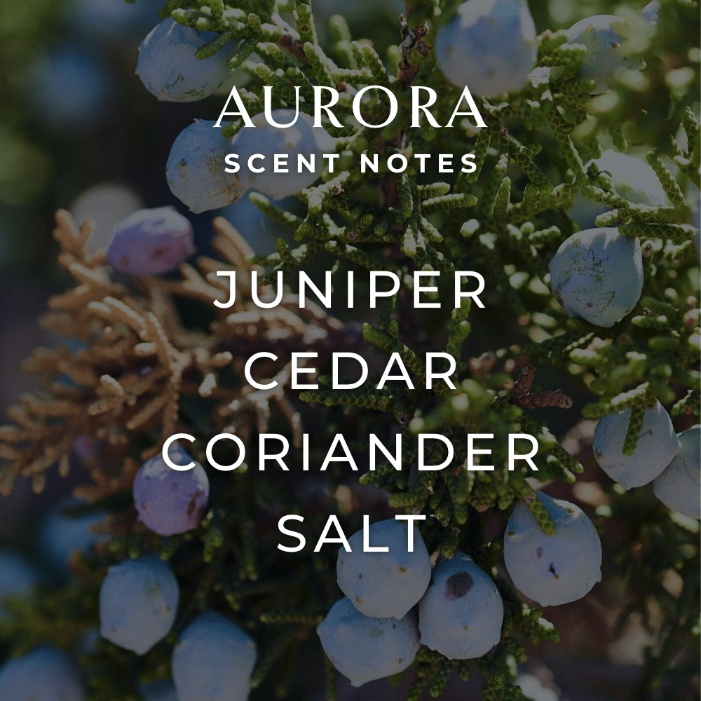 Aurora Room + Linen Spray by Fjord & Fable