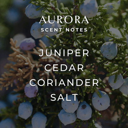 Aurora Room + Linen Spray by Fjord & Fable