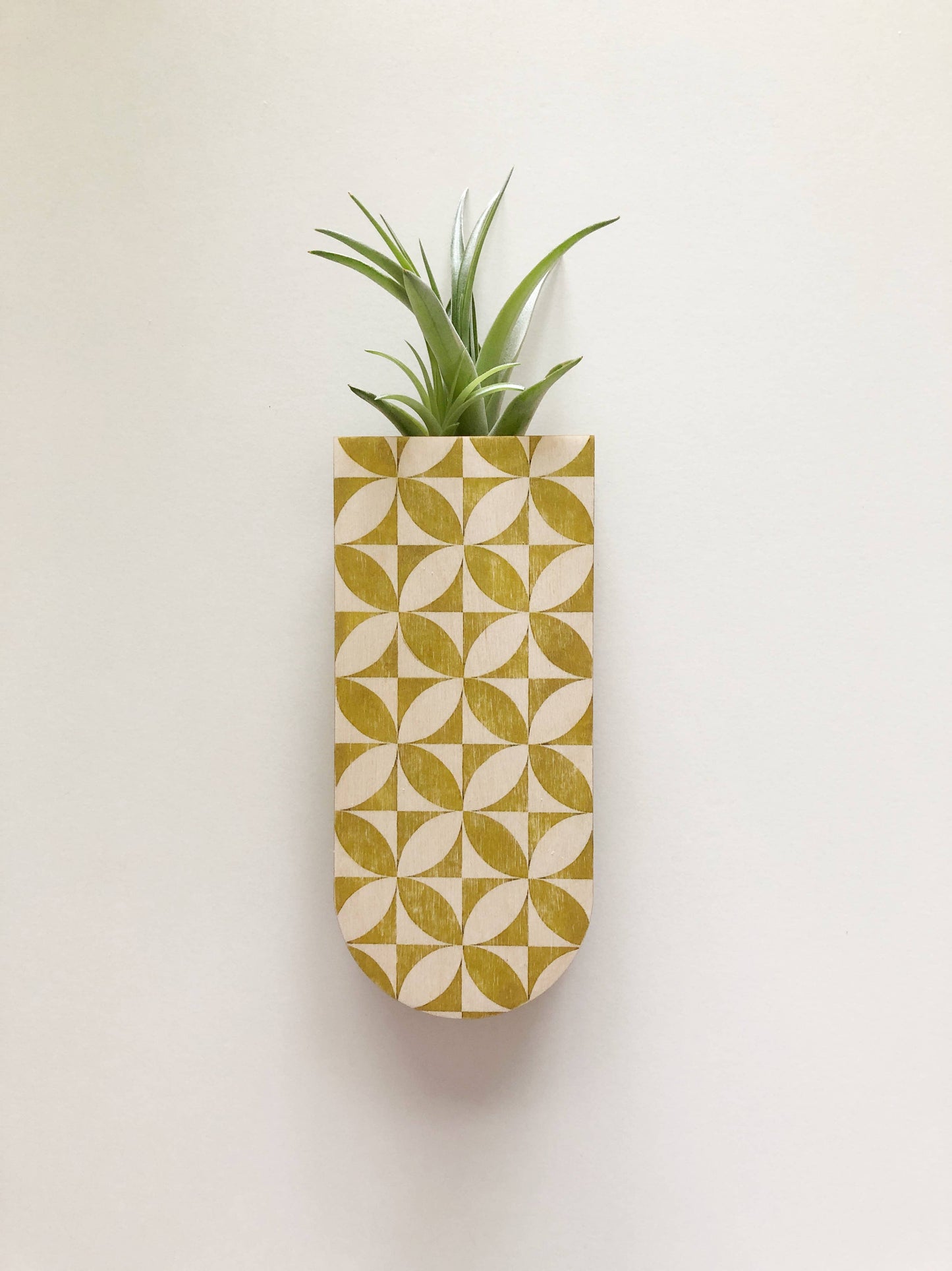 Petals Skinny Pocket Wall Planter Vase by Stacy Wong