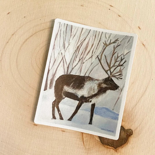 Winters Walk Sticker by Anya Toelle